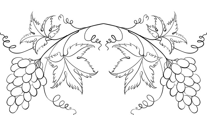 Desenho cacho uvas
